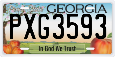 GA license plate PXG3593