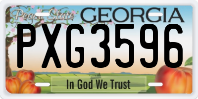 GA license plate PXG3596