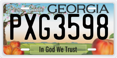 GA license plate PXG3598