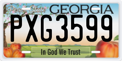 GA license plate PXG3599