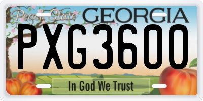 GA license plate PXG3600