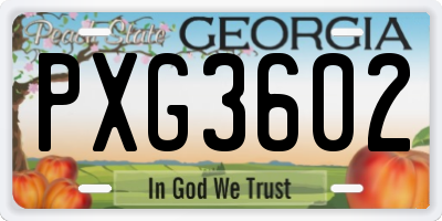 GA license plate PXG3602