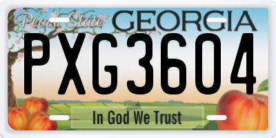 GA license plate PXG3604