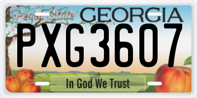 GA license plate PXG3607