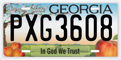 GA license plate PXG3608