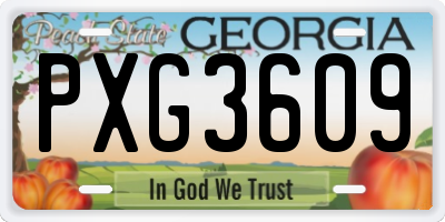 GA license plate PXG3609