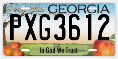 GA license plate PXG3612