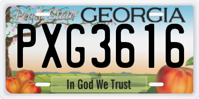 GA license plate PXG3616