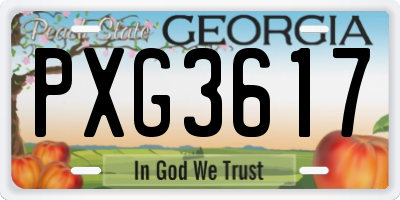 GA license plate PXG3617