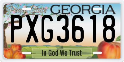 GA license plate PXG3618