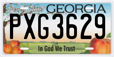 GA license plate PXG3629