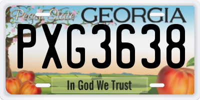 GA license plate PXG3638