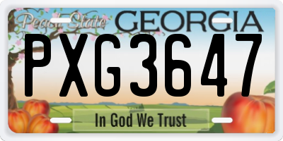 GA license plate PXG3647