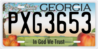 GA license plate PXG3653