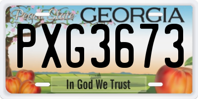 GA license plate PXG3673