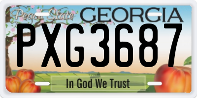 GA license plate PXG3687