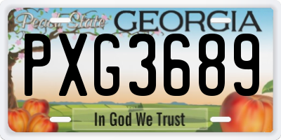 GA license plate PXG3689