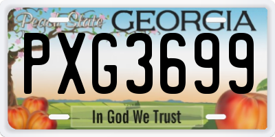 GA license plate PXG3699