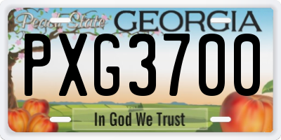 GA license plate PXG3700