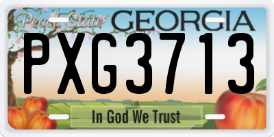 GA license plate PXG3713