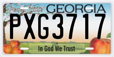 GA license plate PXG3717