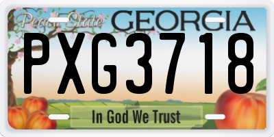 GA license plate PXG3718