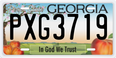 GA license plate PXG3719