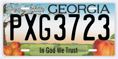 GA license plate PXG3723