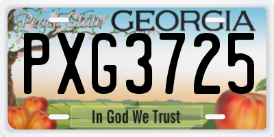 GA license plate PXG3725