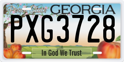 GA license plate PXG3728