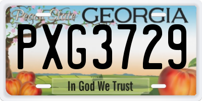 GA license plate PXG3729