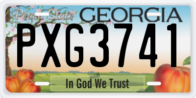 GA license plate PXG3741