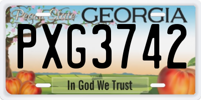 GA license plate PXG3742