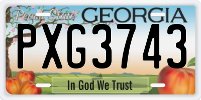 GA license plate PXG3743