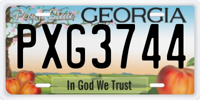 GA license plate PXG3744