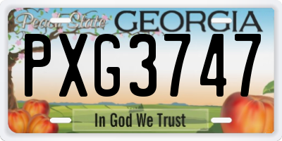 GA license plate PXG3747