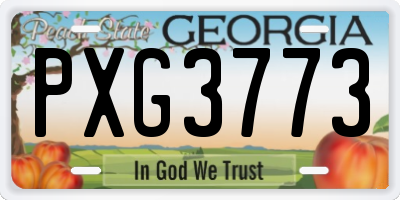 GA license plate PXG3773