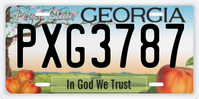 GA license plate PXG3787