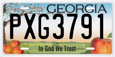 GA license plate PXG3791