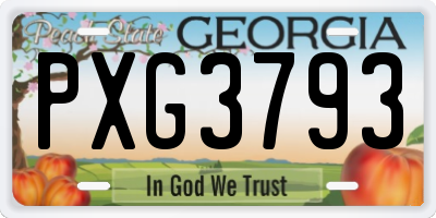 GA license plate PXG3793