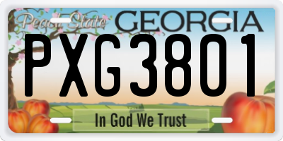 GA license plate PXG3801