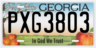 GA license plate PXG3803