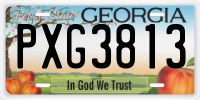 GA license plate PXG3813