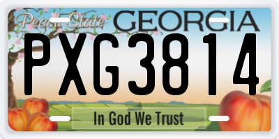 GA license plate PXG3814