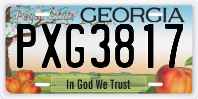GA license plate PXG3817