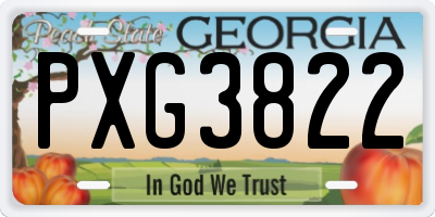 GA license plate PXG3822