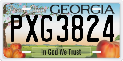 GA license plate PXG3824