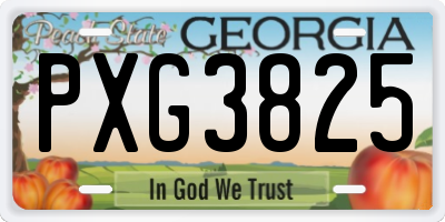 GA license plate PXG3825