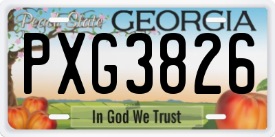 GA license plate PXG3826