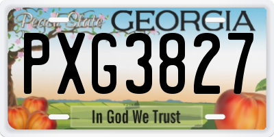 GA license plate PXG3827
